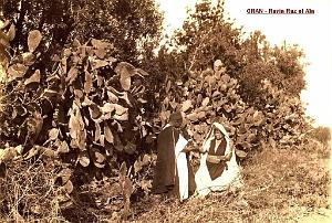 Images d'Algerie 146